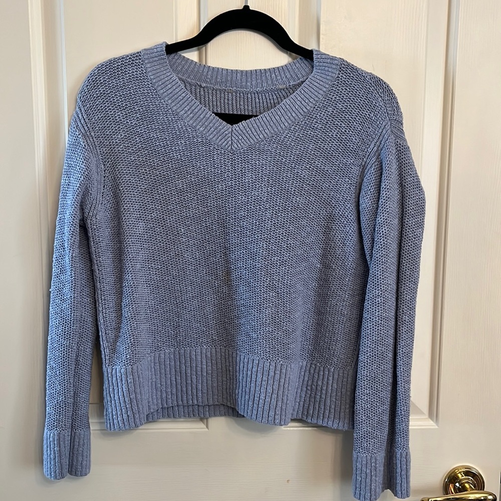 Everlane Baby Blue Knit Vneck Sweater